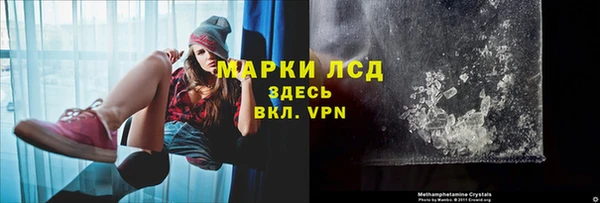 сатива Верхний Тагил
