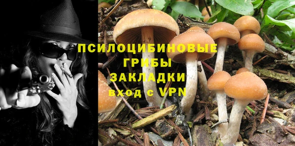 сатива Верхний Тагил