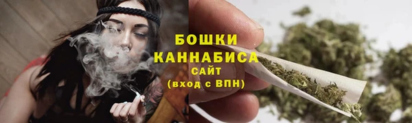 сатива Верхний Тагил