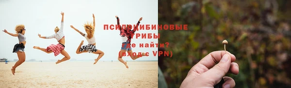 МДПВ Бронницы
