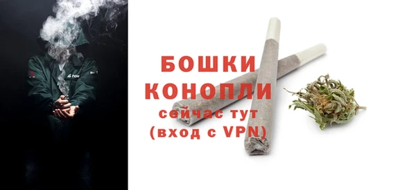 сатива Верхний Тагил