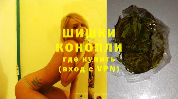 сатива Верхний Тагил