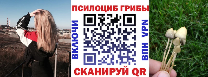 наркошоп  Энгельс  Псилоцибиновые грибы Psilocybe 